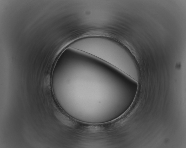 X0000090421465200707130936