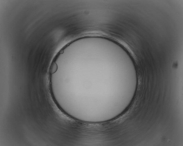 X0000090421466200707130936