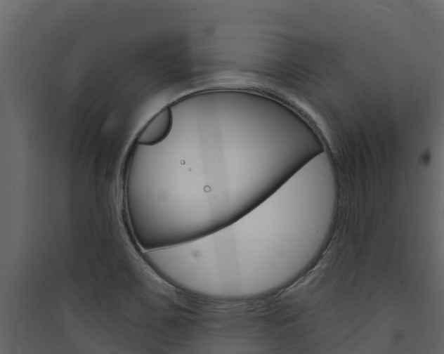 X0000090421467200707130936