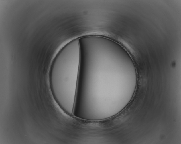 X0000090421468200707130936
