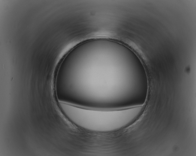 X0000090421469200707130936