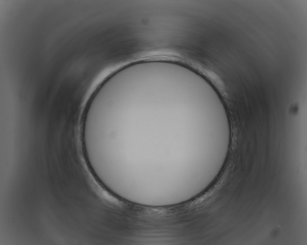 X0000090421470200707130936