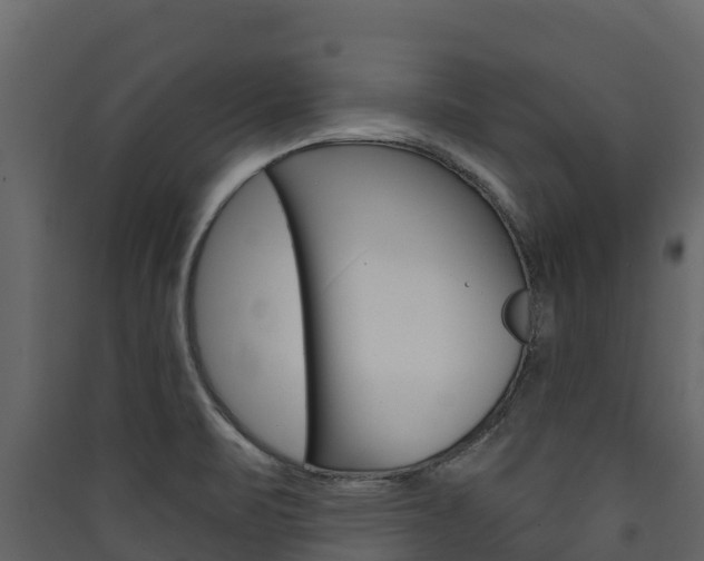 X0000090421471200707130936
