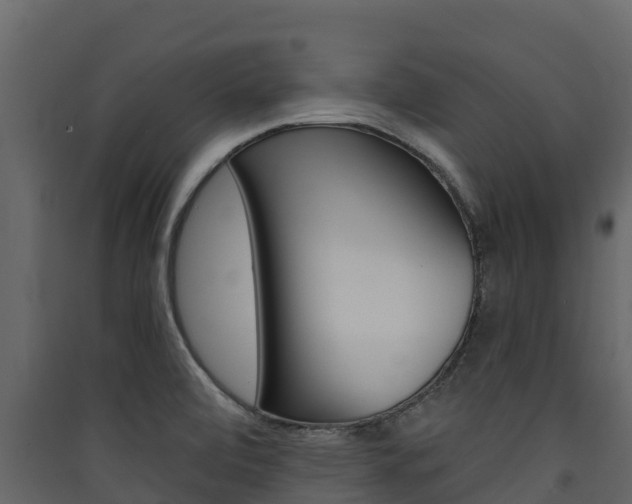 X0000090421472200707130936