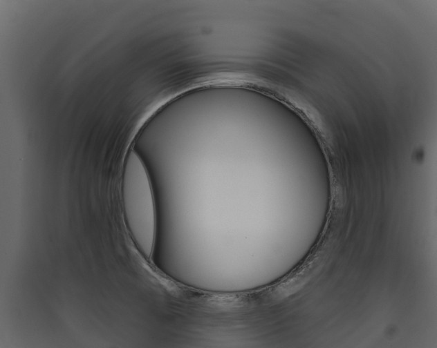 X0000090421473200707130936
