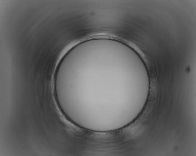 X0000090421474200707130936