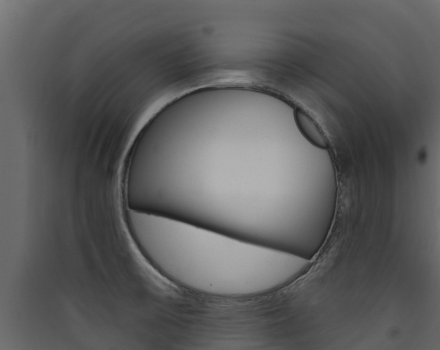 X0000090421475200707130936