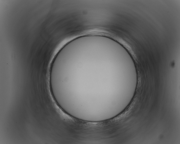 X0000090421478200707130936