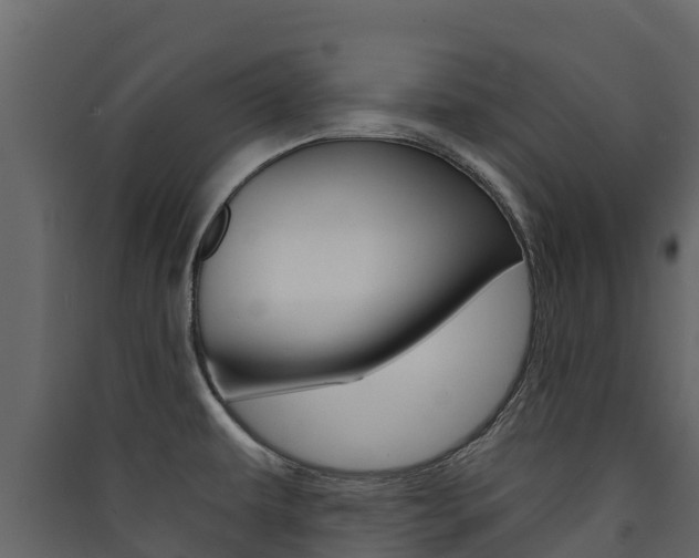 X0000090421479200707130936