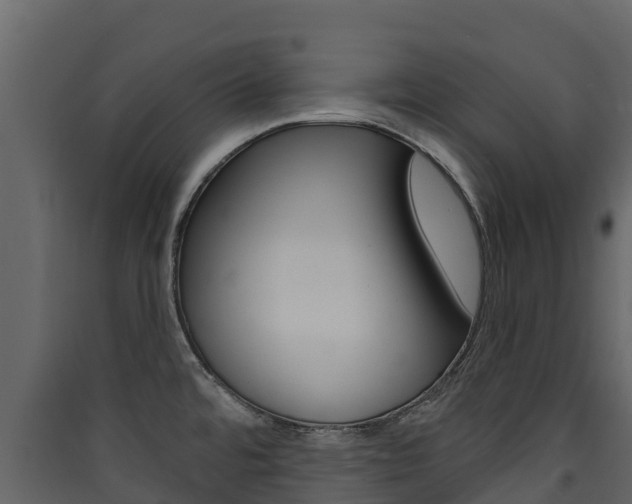 X0000090421480200707130936