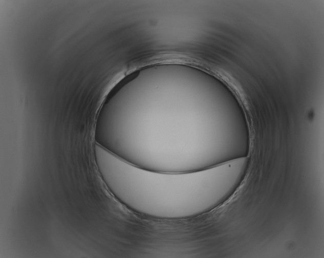 X0000090421481200707130936