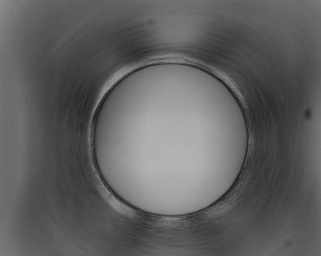 X0000090421482200707130936