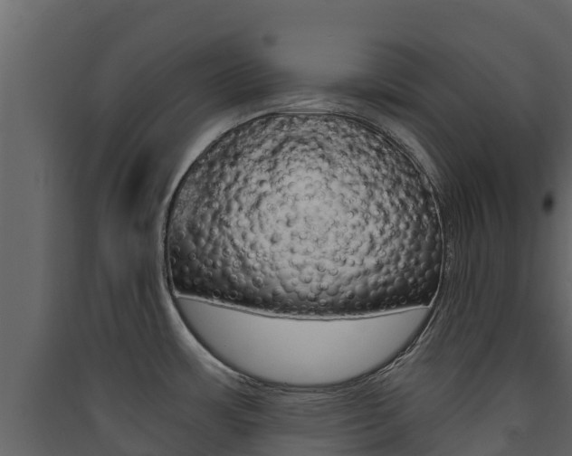 X0000090421483200707130936