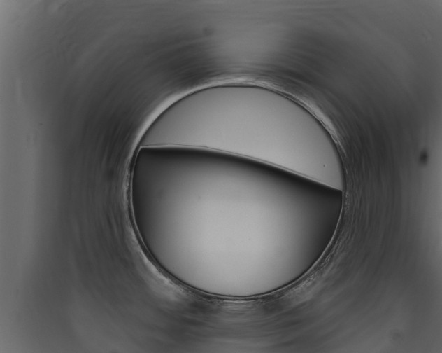 X0000090421484200707130936