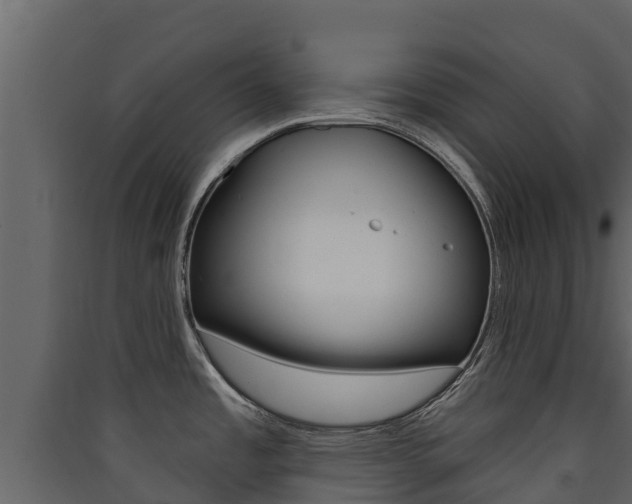 X0000090421485200707130936