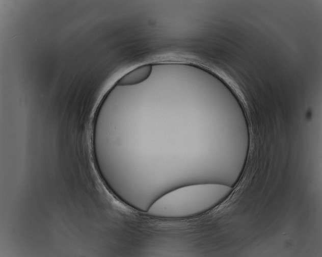 X0000090421486200707130936