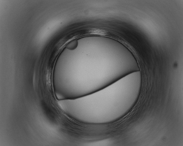 X0000090421487200707130936