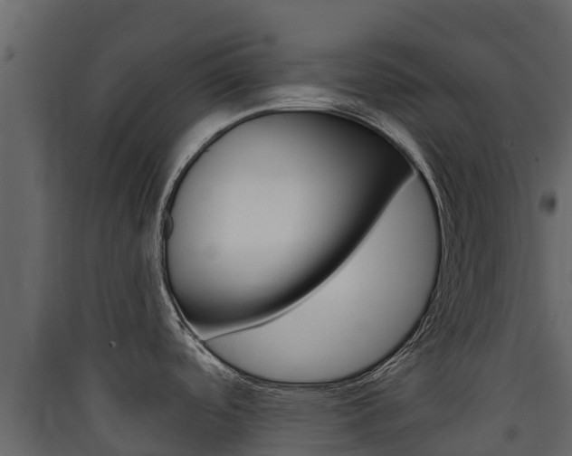 X0000090421488200707130936