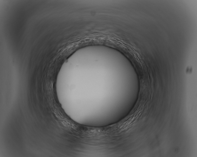 X0000090421489200707130935