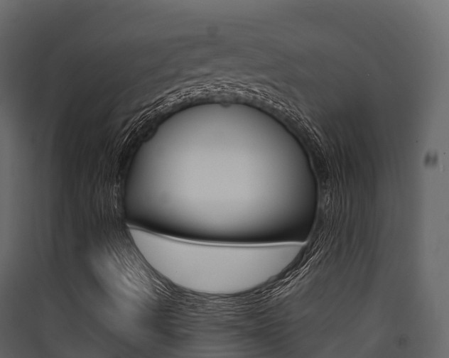 X0000090421490200707130935