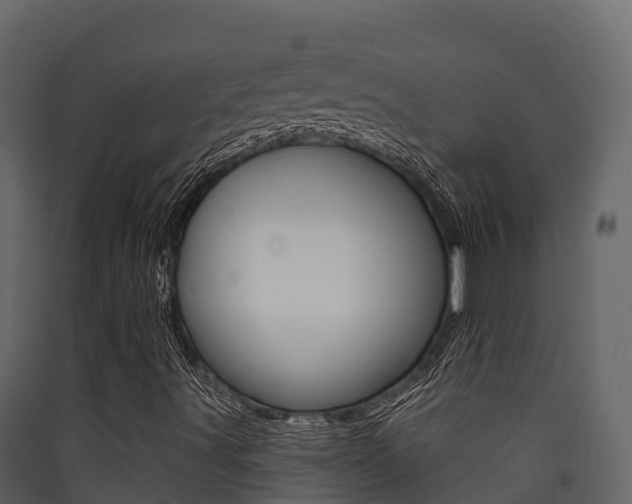 X0000090421491200707130935