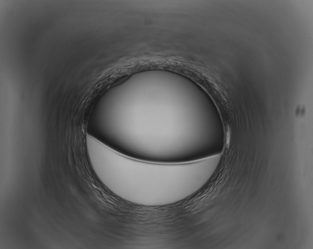X0000090421492200707130935
