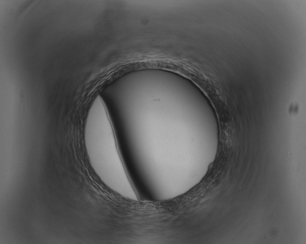 X0000090421493200707130935