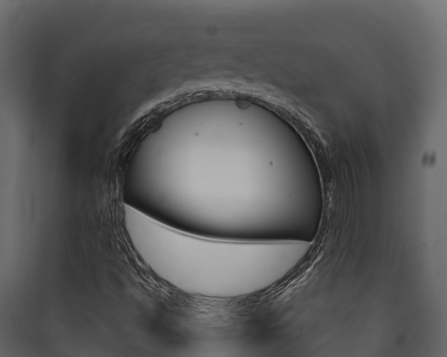 X0000090421494200707130935