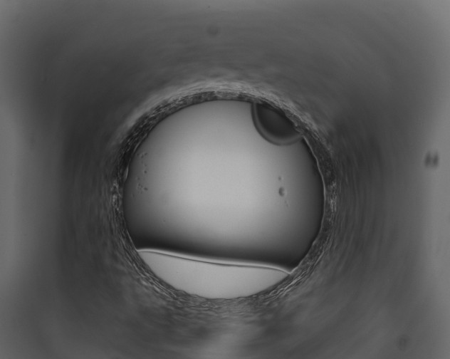 X0000090421495200707130935