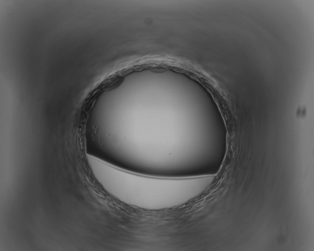 X0000090421496200707130935