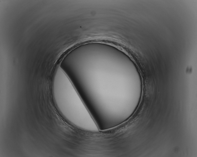 X0000090421497200707130935