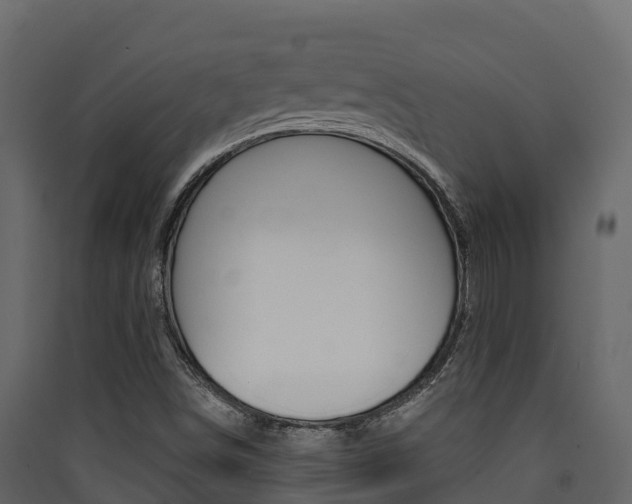 X0000090421498200707130935