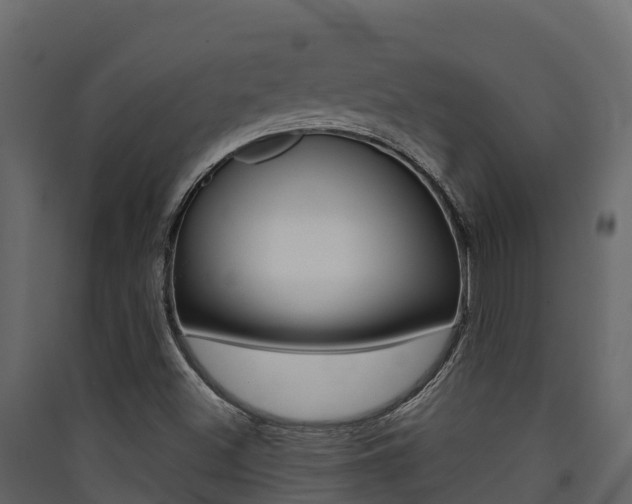 X0000090421500200707130935