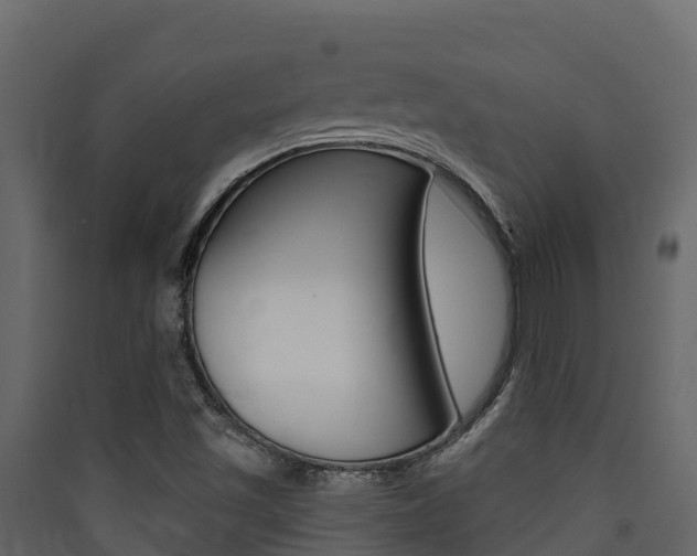 X0000090421501200707130935