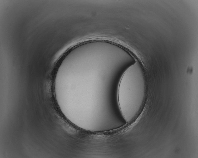 X0000090421502200707130935