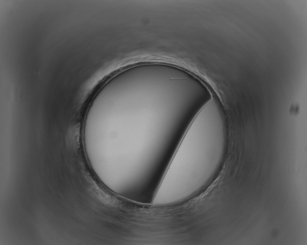 X0000090421503200707130935