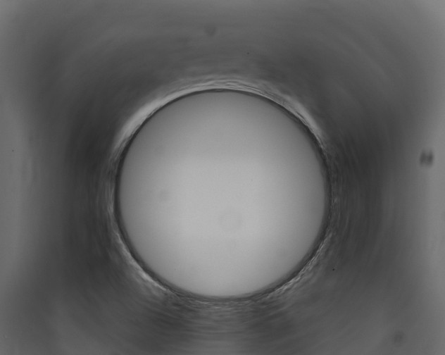 X0000090421504200707130935
