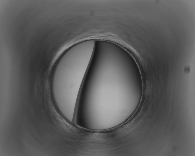 X0000090421506200707130935