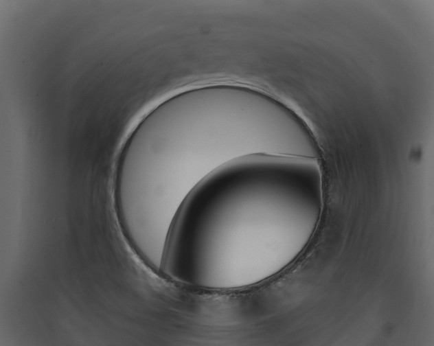 X0000090421508200707130935