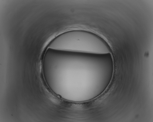 X0000090421509200707130935