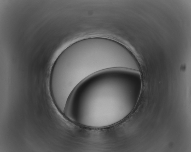 X0000090421512200707130935