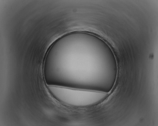 X0000090421513200707130935