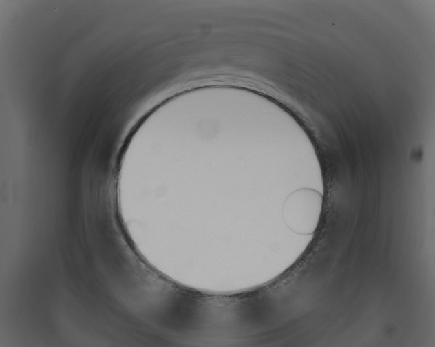 X0000090421514200707130935