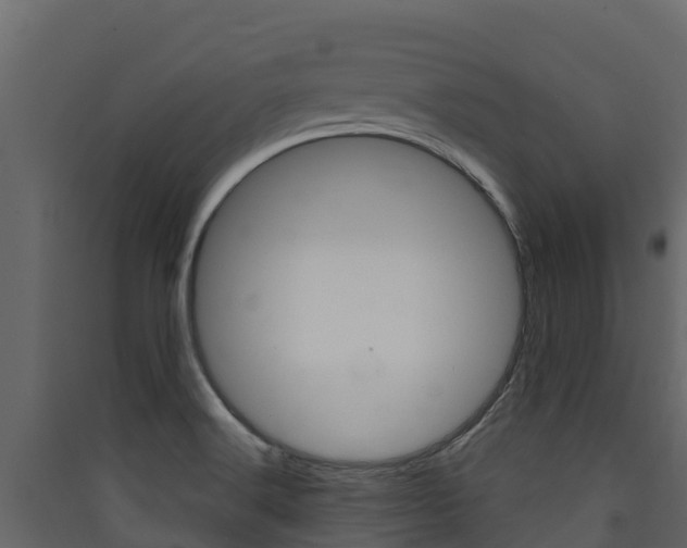 X0000090421516200707130935