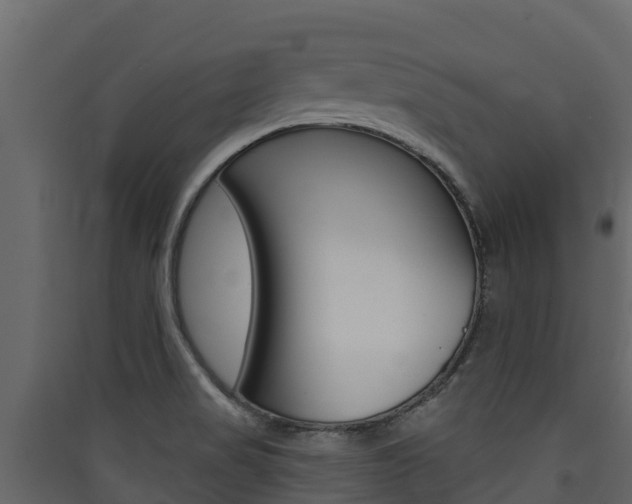 X0000090421517200707130935