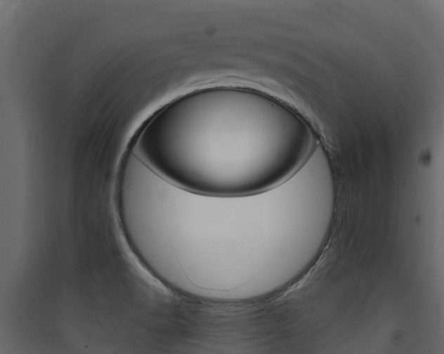 X0000090421518200707130935