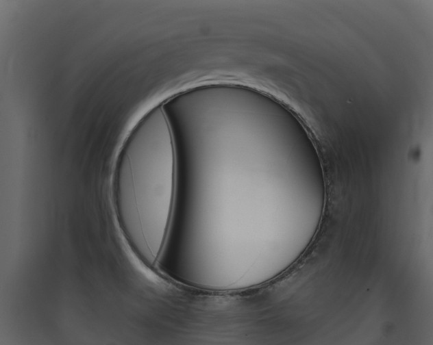 X0000090421519200707130935