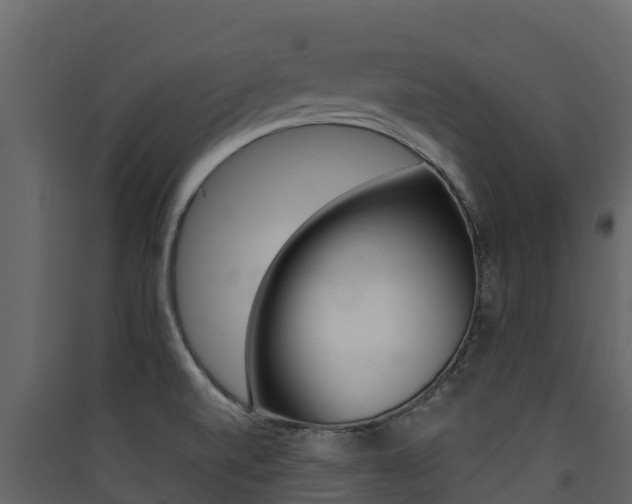 X0000090421520200707130935
