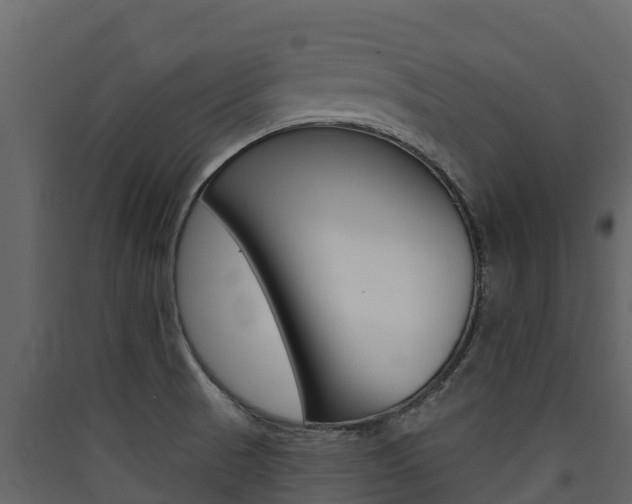 X0000090421521200707130935
