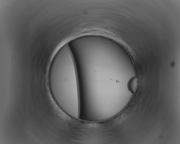 X0000090421522200707130935